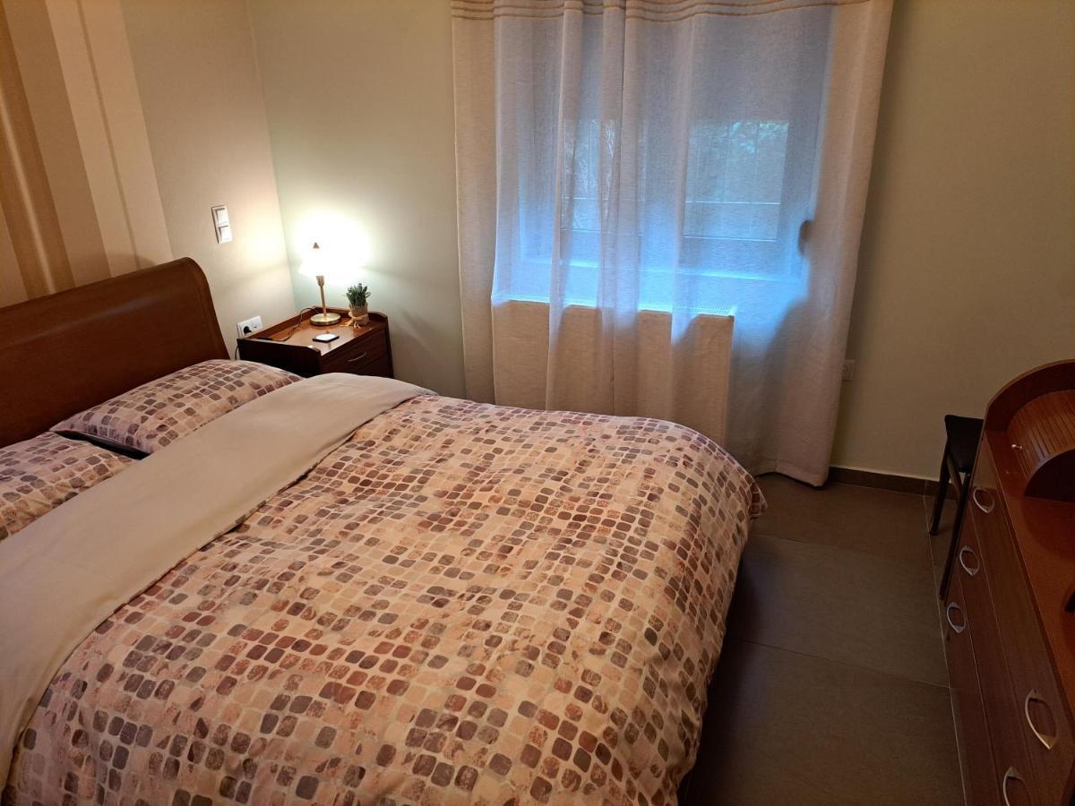 Modern Residence In The Center Of Trikala Екстер'єр фото